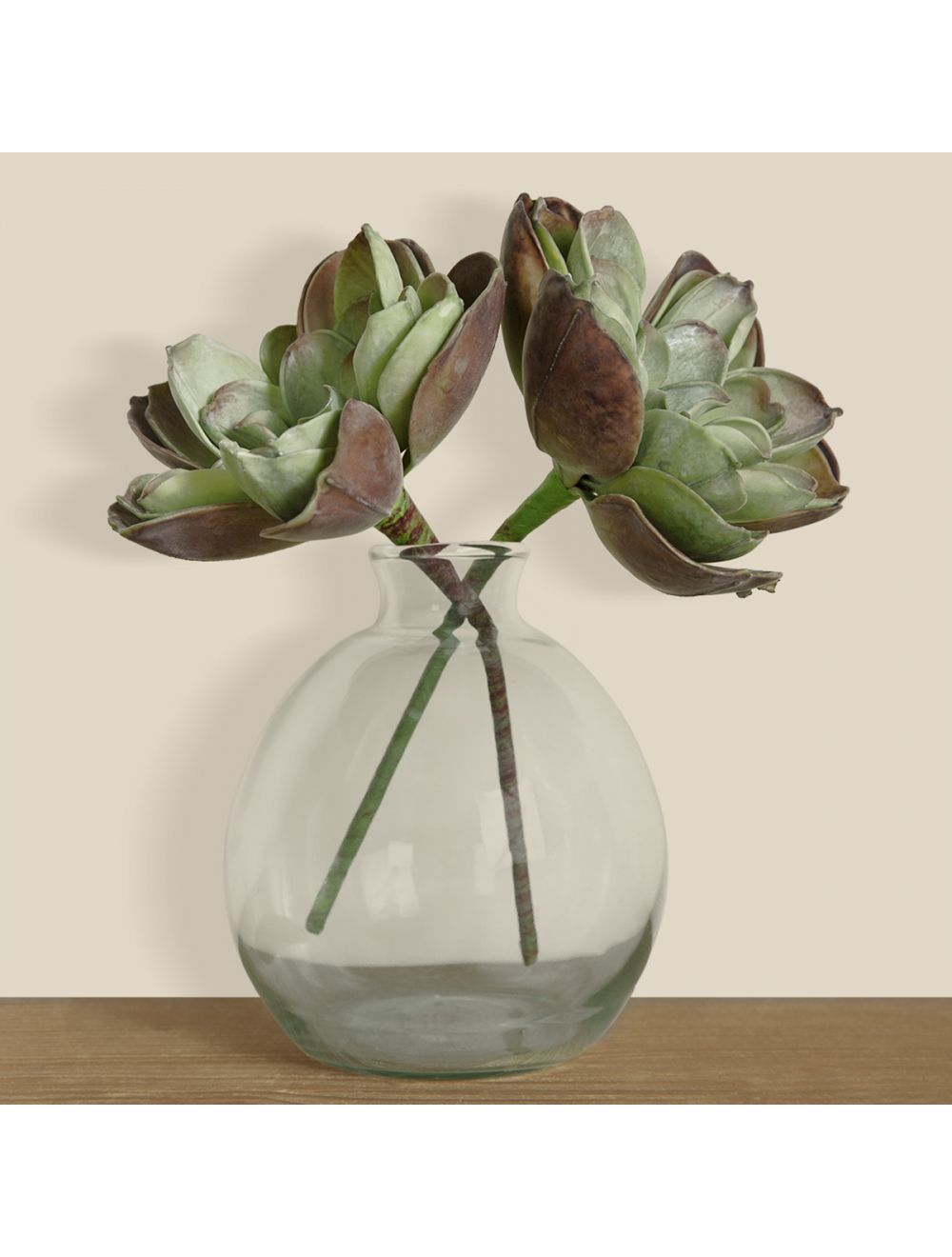 Rose Succulent